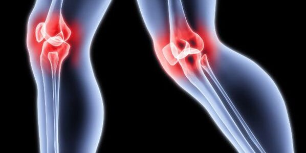 Knee joint
