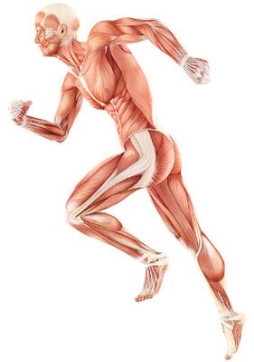 A violation of neuromuscular depreciation