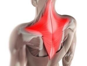 muscle pain as the cause of pain under the left shoulder blade
