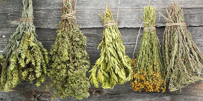 herbs for treating shoulder arthritis